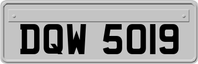 DQW5019
