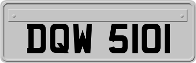 DQW5101
