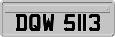 DQW5113