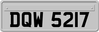 DQW5217