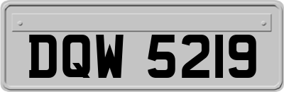 DQW5219