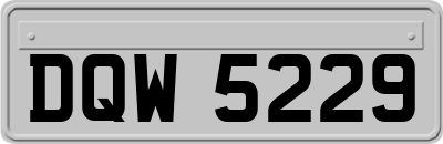 DQW5229