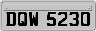 DQW5230