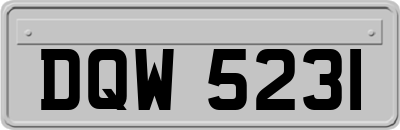 DQW5231