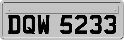 DQW5233