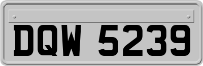 DQW5239
