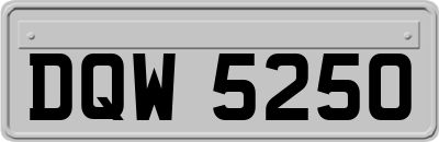DQW5250