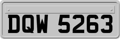 DQW5263