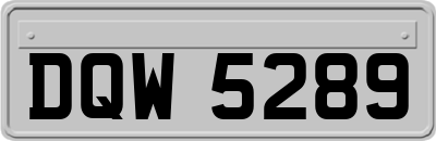 DQW5289
