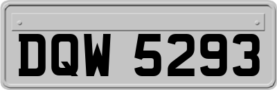 DQW5293