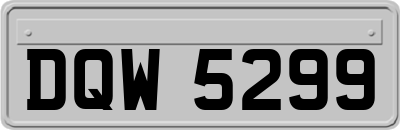 DQW5299