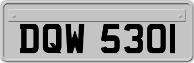 DQW5301