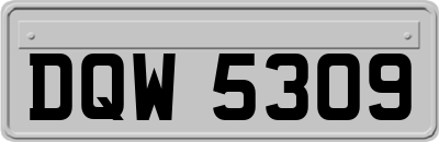 DQW5309
