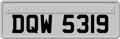 DQW5319