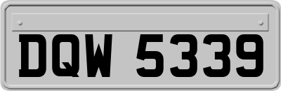 DQW5339