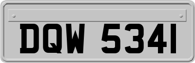 DQW5341