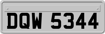 DQW5344