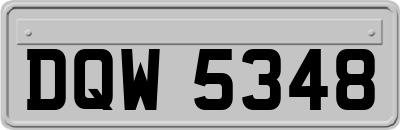 DQW5348
