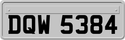 DQW5384