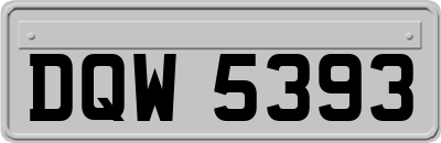DQW5393