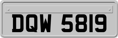 DQW5819