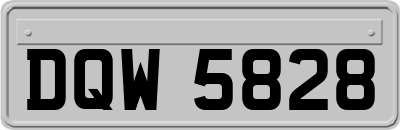 DQW5828