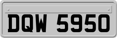 DQW5950