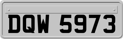 DQW5973
