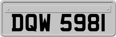 DQW5981