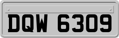 DQW6309