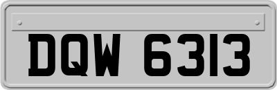 DQW6313