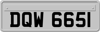 DQW6651