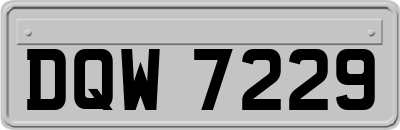 DQW7229