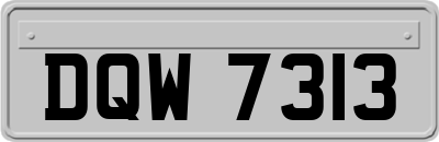 DQW7313