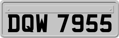 DQW7955