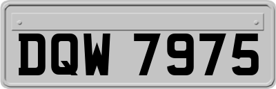 DQW7975