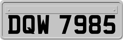 DQW7985