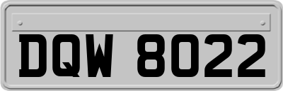 DQW8022
