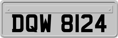 DQW8124