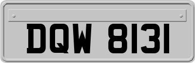 DQW8131