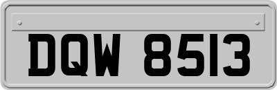 DQW8513
