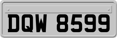 DQW8599