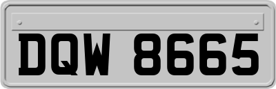 DQW8665