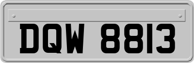 DQW8813