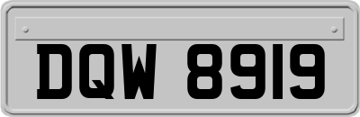 DQW8919