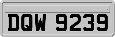 DQW9239