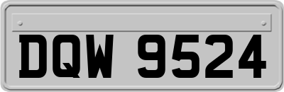 DQW9524