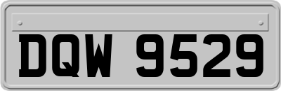 DQW9529