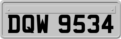 DQW9534
