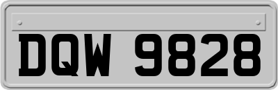 DQW9828